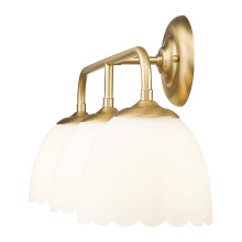 6954-BA3 BCB-OP_3.jpg